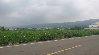1070723 高鐵121次通過彰化社頭段(不停靠彰化站) *