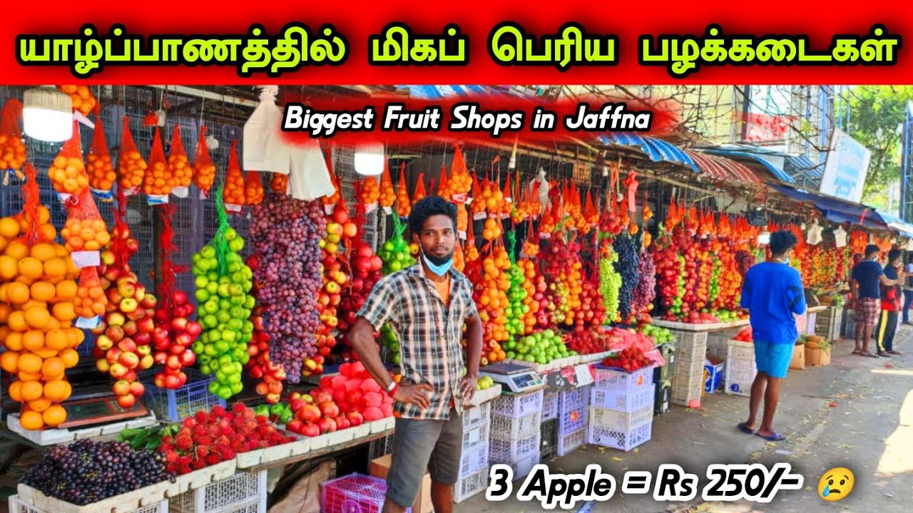 யாழ்ப்பாணத்தில் மிகப்பெரிய பழக்கடை கள்  🥭🍎😍 The biggest fruit shops in Jaffna 😍