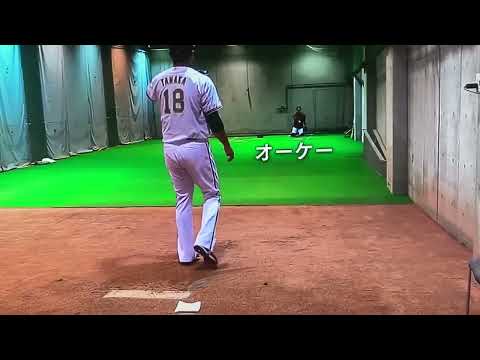 田中将大ブルペン投球