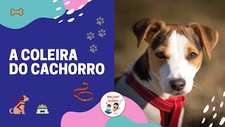 A Coleira do Cachorro - Brincando De Imaginar #fiqueEmCasa #Comigo