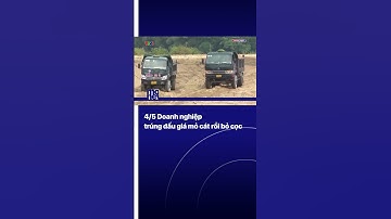 4/5 Doanh nghiệp trúng đấu giá mỏ cát rồi bỏ cọc | VTVMoney