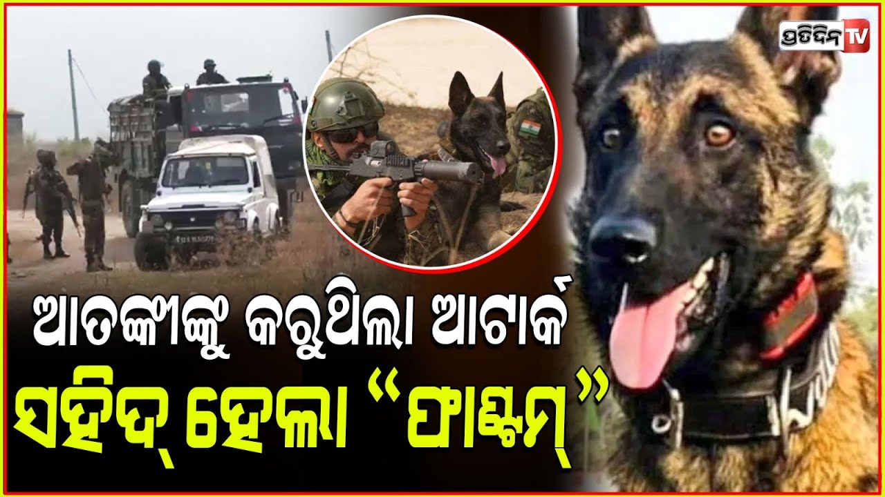 ଦେଶ ପାଇଁ ସହିଦ ହେଲା ସେନାର କୁକୁର, ଘାଟିରେ ଆତଙ୍କବାଦୀଙ୍କୁ ମୁକାବିଲା କରୁଥିଲା 'ଫ୍ୟାଣ୍ଟମ୍' |Army Dog