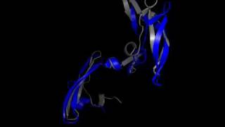 Pathway alignment - Cyanovirin-N motion simulation