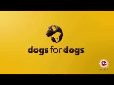 DOGS for DOGS / PEDIGREE - YouTube