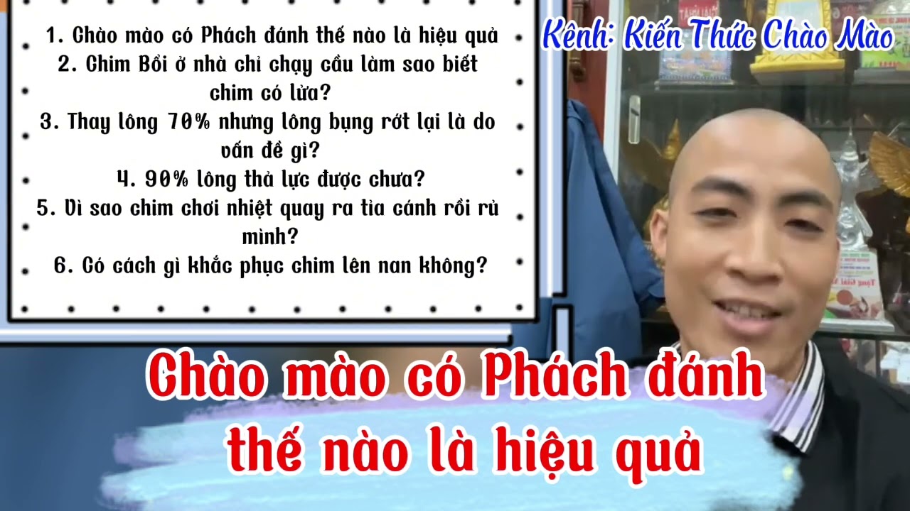 Chào mào có phách đánh như thế nào là hiệu quả trong các cuộc thi đấu giải lớn
