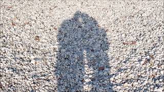 Download Lagu Shadows of Love Ringtone | Instrumental Ringtones MP3