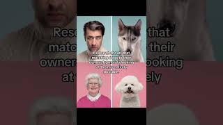Do Owners Resemble Their Pets? #photography #dogs #art