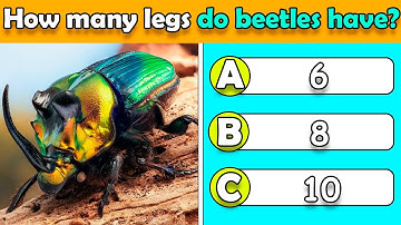 General Knowledge Quiz On Insects 🐛🐞🐜