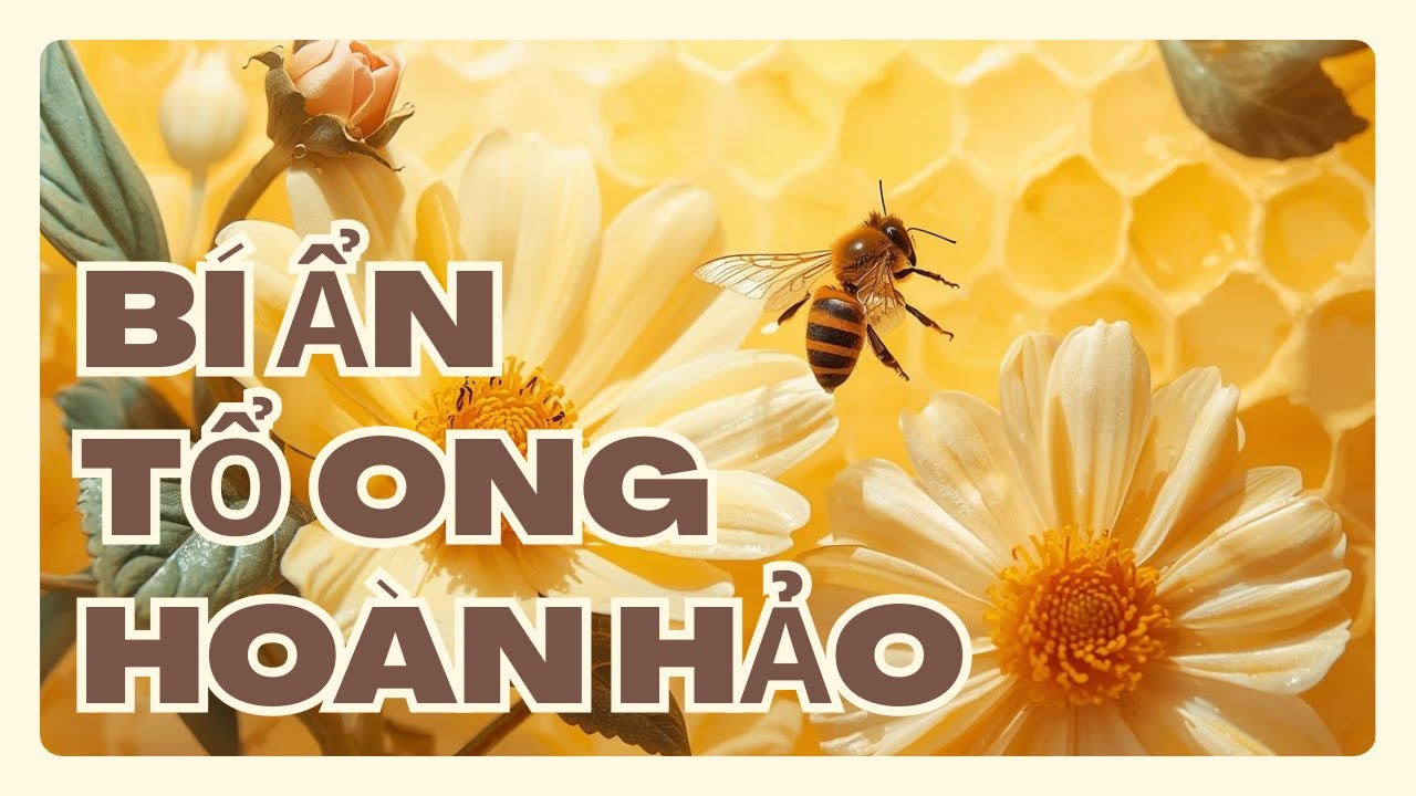 Ong Mật – Kiến Trúc Sư Của Sự Sống | Bí Ẩn Tổ Ong Và Sự Hoàn Hảo của Tự Nhiên