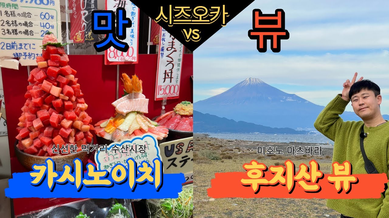 시즈오카 여행 왜 여기로 갔냐고요? 후지산뷰 vs 수산시장 맛집