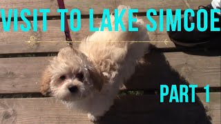 Lake Simcoe Part 1 by BoJolie The Shih Tzu Poodle 1,532 views 3 years ago 4 minutes, 18 seconds