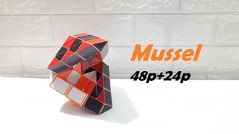COMBINATION OF 2 SNAKE CUBE (48p+24p) - Mussel