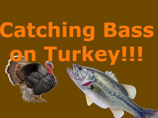 catching turkey with fish hook Smarkey Animal Catch Net, Retractable Chicken Grabber Leg Pole, Chicken Net Catcher Tool, Poultry Farm Tools for Geese Duck Fowl Bird Turkey Legs for Bait Catch