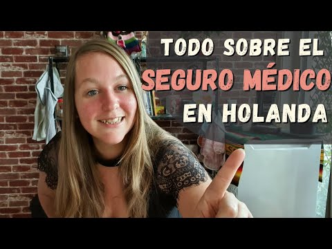 ¿Cómo funciona el