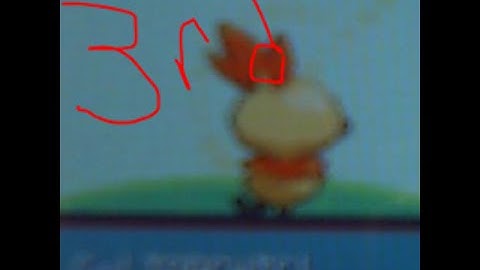 Shiny Torchic after 20~ Soft Resets on Emerald