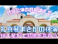 【新ゆっくり宝塚ニュース】#14 星組トップスター礼真琴まさかの途中休演~暁千星主役で代替公演へ!!~