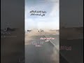 فيفا لالجيري نعل بوكم الكلب     3  