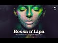 Bossa N&#39; Lipa - Cool Music 2024