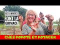 Dbarrassez vous des limaces avec popoteetpotager