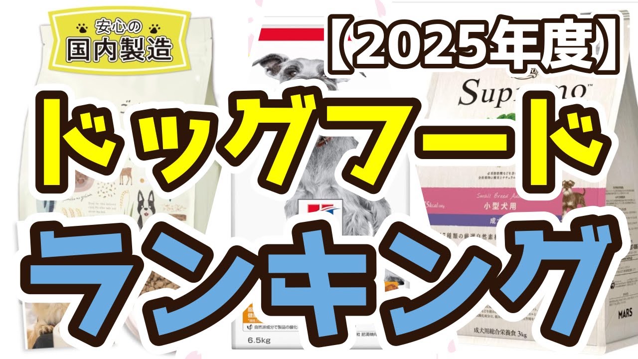 ドッグフード】おすすめ人気ランキングTOP3（2025年度） - YouTube