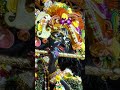Shyam Sundar Bhajan 🌹 #trendingshorts #bhaktisong #fypシ゚viral #fypyoutube #explore #explorenow