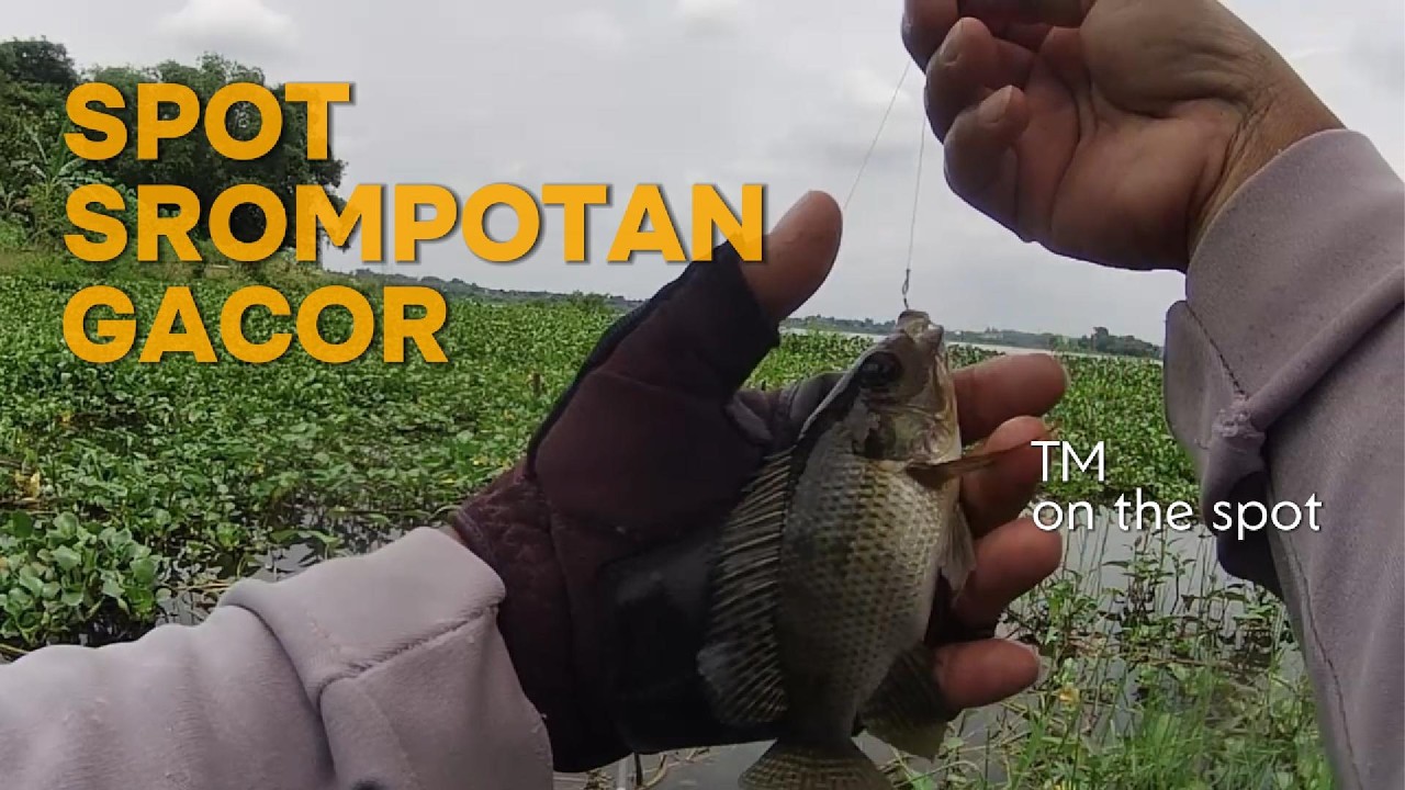 SPOT SROMPOTAN GACOR, MANCING WADUK CENGKLIK