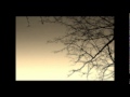 藤田麻衣子 vol.2