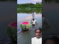 amazing creative videos bharat ki #funny #bambooacademy #comedy