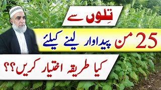 How to achieve maximum production of Sesame crop || Crop Reformer