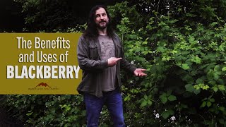 The Benefits and Uses of Blackberry with jim mcdonald