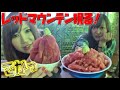 【さおゆか旅】ご飯が見えない”噂のマグロ丼”を食べてみた！！【浅虫】
