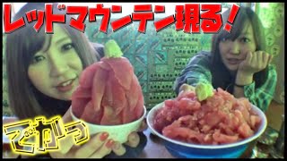 【さおゆか旅】ご飯が見えない”噂のマグロ丼”を食べてみた！！【浅虫】