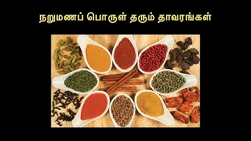 6TH STD SCIENCE TERM3 QR CODE VIDEOS(4)