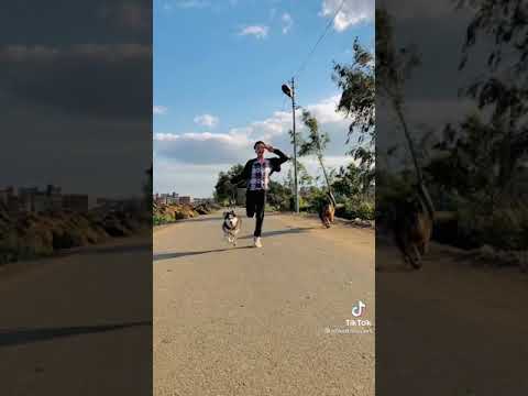 احمد حسان انا عظمه اناسابت انا جامد انا هضبه