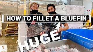How To Fillet A Huge Bluefin Tuna | West Coasts Fastest Growing Premier Fish Supplier