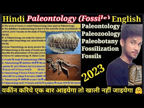 Fossils || Types of Fossils || Paleontology || Paleobotany || Fossilization  | Bsc 1st year #bsc - YouTube