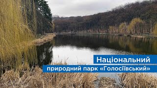 Національний природний парк «Голосіївський»
