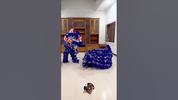 Thumbnail of Eh kok bisa copot?? #barongsai #viral #liondance