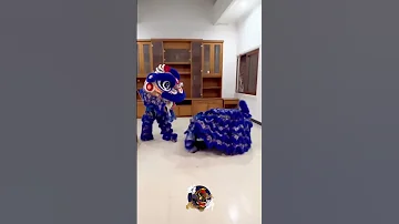 Eh Kok Bisa Copot Barongsai Viral Liondance 
