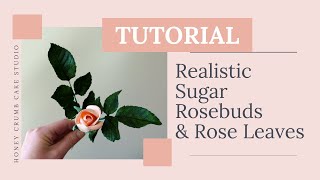 How to Make a Realistic Sugar Rosebud & Rose Leaves | Gumpaste Rosebud Tutorial for Beginners!