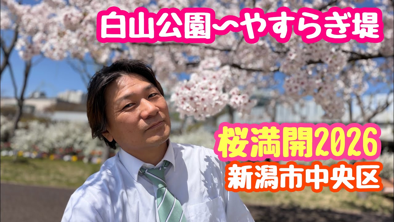 April 8, 2026: Hakusan Park ~ Yasuragi Embankment - Cherry