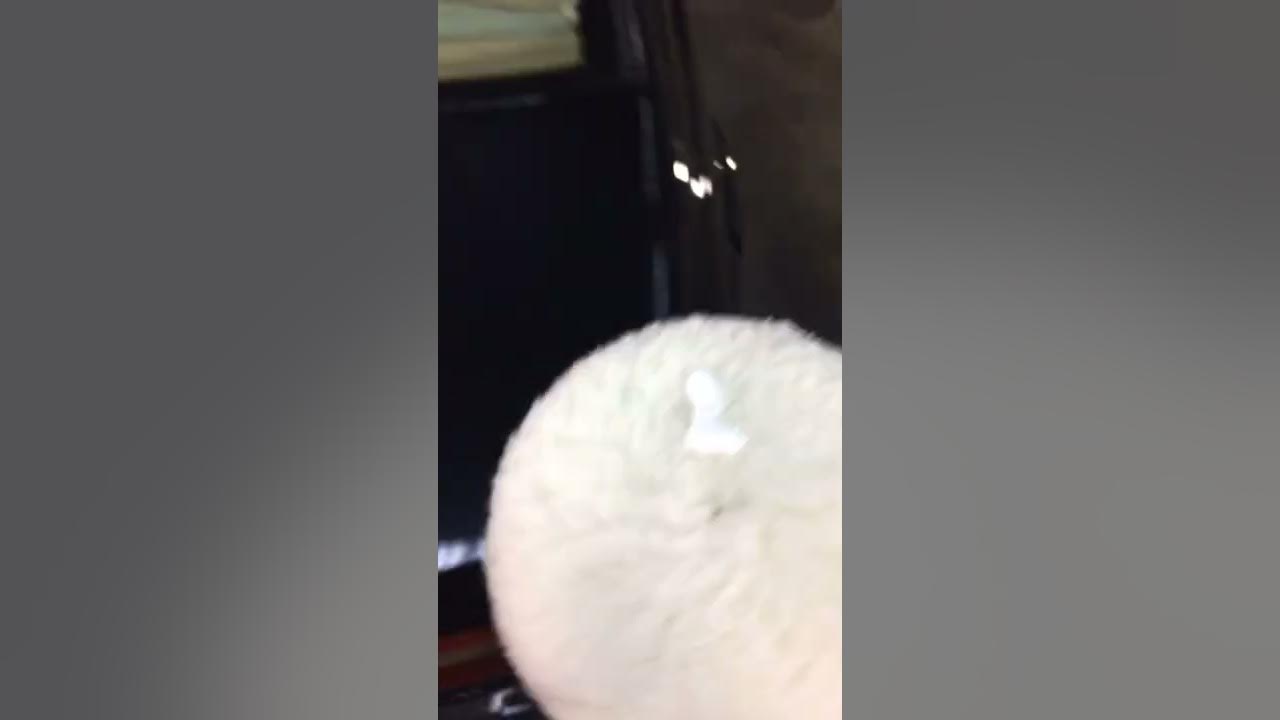 How to remove holograms with rotary + wool pad YouTube