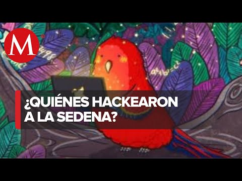 ¿Quiénes son los 'Guacamaya'? Presuntos autores de ciberataque a la Sedena