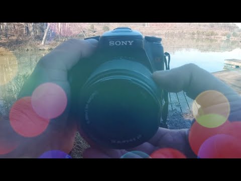 Sony A100 in 2021 camera review