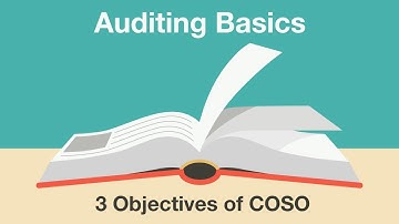 3 Objectives of COSO
