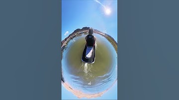 Amazing Insta360 X4 - Magic in Action #shorts #insta360