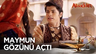 Alaaddin Herkesi Birbirine Düşürdü - Alaaddin Hint Dizisi 46. Bölüm