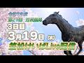 笠松けいばライブ配信R8.03.19