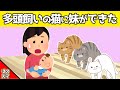 保護猫を多頭飼いしている我が家に、妹ができたら大変なことになった…www