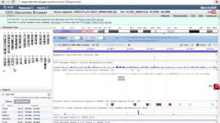 Famous How to Use the 1000 Genomes Browser Net Worth